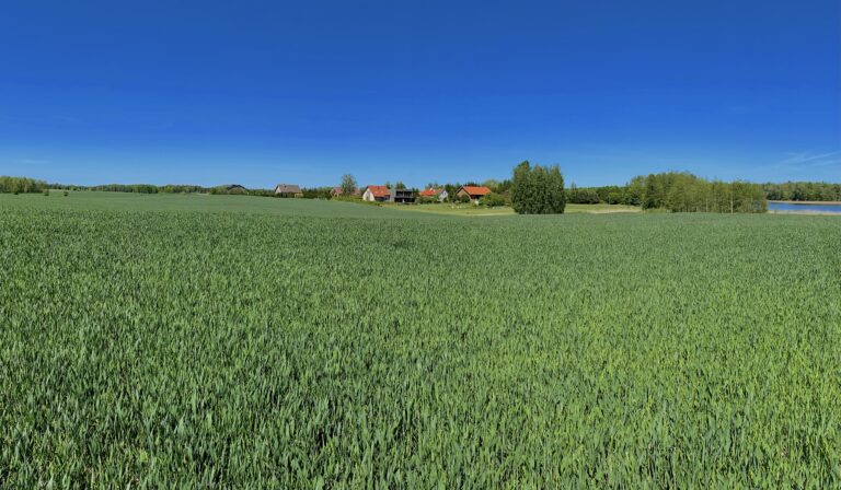 Zielone pola wiosną koło Glemurii